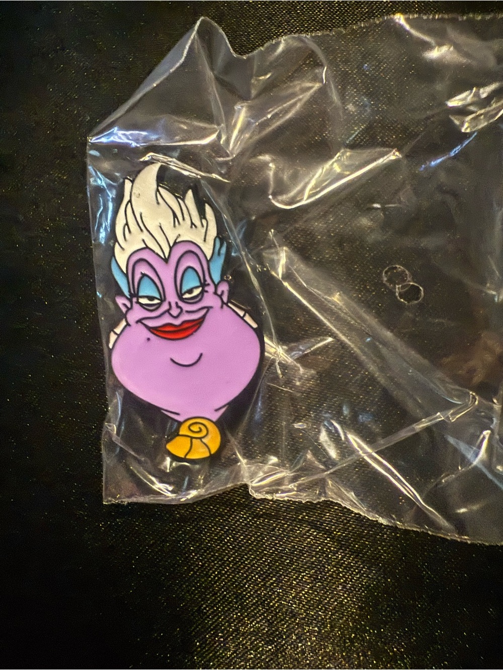 🌟Bundle Sale Ursula Pin